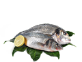 Икра. Рыба. Морепродукты